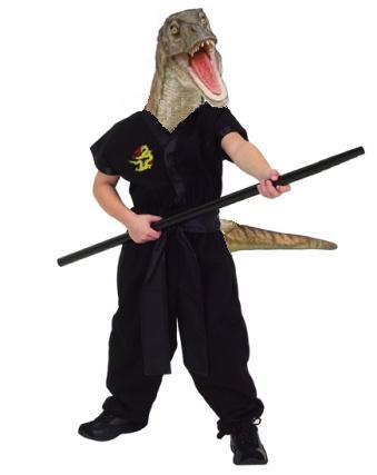 Ninja Velociraptor
